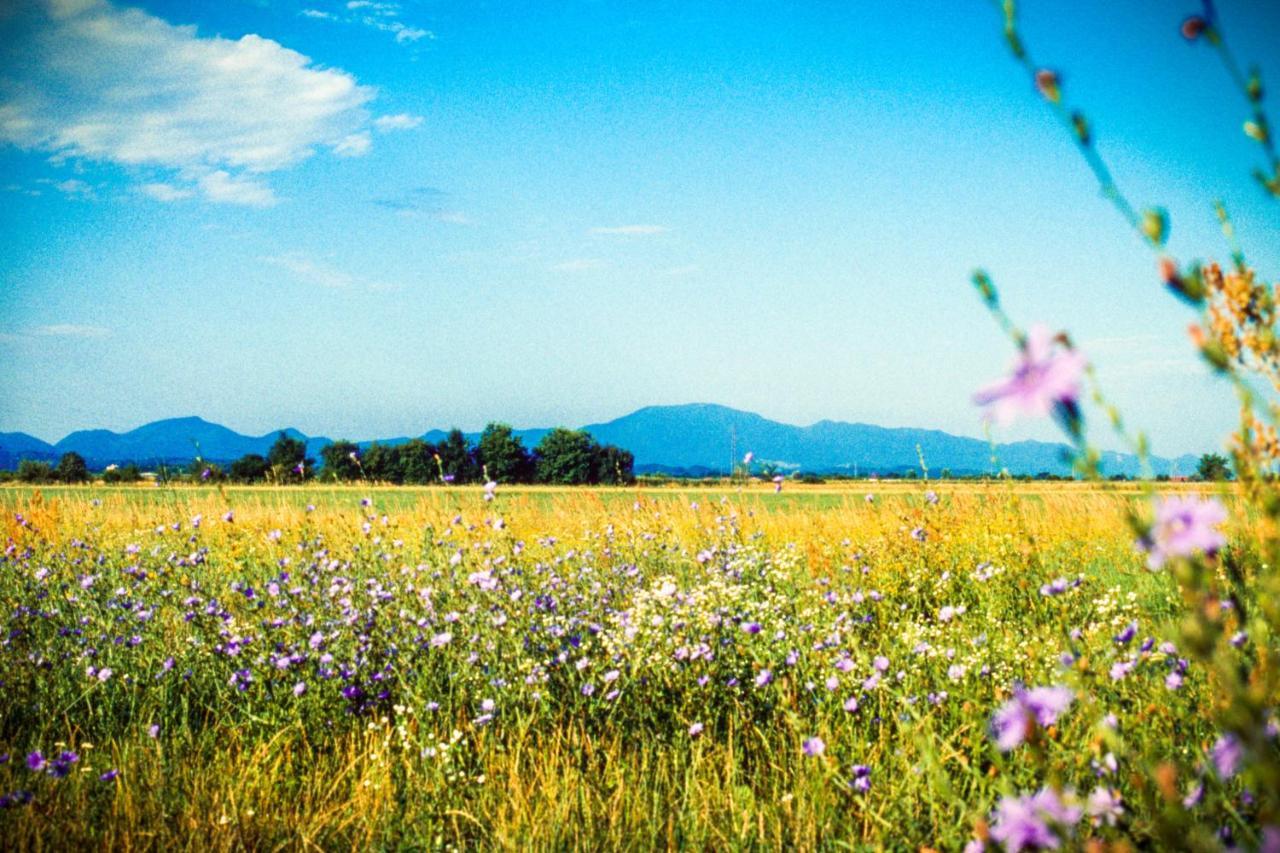 Apartman Anita Varaždin Buitenkant foto